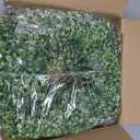 28 Inch Large Boxwoods Wreaths for Front Door Artificial Green Leaves Greenery Indoor Outdoor Wreath Home Decor Porch Window Wall Farmhouse Door Decorations Spring Summer Fall All Seasons