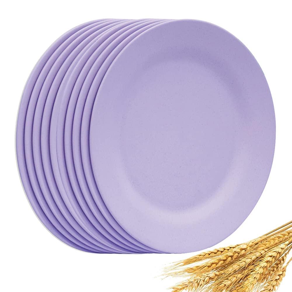 NA Set of 10 Large Dinner Plates 11 Inch, Reusable Wheat Straw Dessert Dishes, Round Pasta Salad Serving Plate, Unbreakable Fiber Tableware for Party Steak Pizza (Purple)