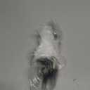 No.A2780700687 Fuel Injector for Mercedes-Benz C300 2.0L 2015-2021 for Mercedes-Benz E300 2.0L 2017-2019 4 Pcs