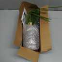Der Rose 28'' Fake Plants Tall Artificial Monstera Faux Plants Indoor Outdoor Tree for Living Room Home House Decor