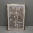 ANHUIB Beige Artwork 16x24 Inch Framed Beige Floral Wall Art Large Neutral Wildflower Wall Decor Vintage Plant Art Prints Set of 3 for Living Room Bedroom Office