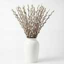 20 Stems 31.5'' Real Dried Pussy Willow Branches for Vases 100% Natural Tall Snow Pussy Willows with White Flowers Live Plant for Wedding Home Hotel Fireplace Yard Decor