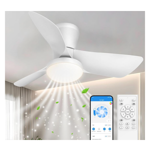 Ceiling Fans Lights with APP & Remote Control: 30 Inch Low Profile Ceiling Fans with Lights Reversible Small Flush Mount Ceiling Fan 3 Colors Quiet 6 Speeds Ceiling Fan for Bedroom Livingroom Kitchen