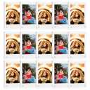 JUOIFIP 15 Pack Acrylic Polaroid Refrigerator Magnet Picture Frames, Clear Mini Frames for Instant Photos, 2.36 x 3.54 Inch Magnetic Instax Frame for Refrigerator Display