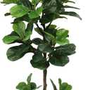 5FT Artificial Fiddle Leaf Fig Tree with White Planter & Fake Moss, Realistic Faux Ficus Lyrata Floor Plant for Indoor Home Office Decor, Housewarming Gift
