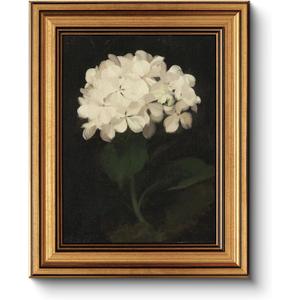 HUARCEY Gold Framed Vintage Wall Art for Living Room, Flowers Painting Canvas Prints Shelf Decor for Kitchen, Aesthetic Bedroom Wall Art, Christmas Gifts for Friends or Family (White Hydrangea 8"x10")