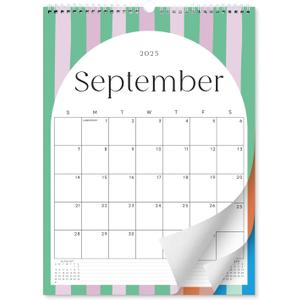 S&O Palm Beach Arc Wall Calendar from July 2025-Dec 2026 - Tear-Off Monthly Calendar - 18 Month Academic Wall Planner - Hanging Organizer to Track Anniversaries & Appointments - 14.2"x10.5in