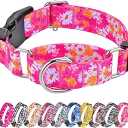 Hikiko Martingale Collar for Dogs Peach Dog Collar for Small Medium Large Dogs Cute Holiday Summer Dog Collars Pet Gift (Flowers,Large)