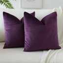 OTOSTAR Pack of 2 Velvet Soft Decorative Throw Pillow Covers Solid Square Cushion Case Home Decor Pillow Covers for Couch Sofa Bedroom Living Room Decorative Pillowcases 20 x 20 Inch (Eggplant Purple)