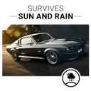 CAR GUYS Plastic Restorer | Bring Plastic, Rubber, and Vinyl Back to Life! | User Friendly Trim Restorer | Safe Auto Detailing Supplies | 8 Oz Kit with Foam Applicator