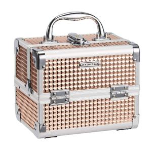 FRENESSA Makeup Case Train Case Portable Makeup Box with Mirror Lock Box Travel Cosmetic Train Cases Hard Makeup Organizer for Nail Craft Storage Vanity for Girl Rose Gold