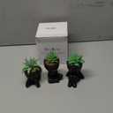 Der Rose 3pcs Fake Succulents Plants Artificial for Black Bathroom Bedroom Home Room Decor Aesthetic Indoor