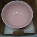 Cat Water Bowl, 16 OZ Ceramic Elevated Cat Bowls, 15 Tilted and Raised Pet Food Dish, Anti Vomiting Protect Pets' Spines and Whisker Fatigue (2 Pack, Pink)