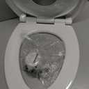Jool Baby Quick Flip Toilet Seat with Built-in Potty & Splash Guard for Toddler Training, Slow Close (Elongated)