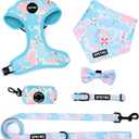 Small Dog Harness and Leash Set of 6, No Pull Soft Lightweight Mesh Puppy Harness Adjustable Cute Floral Pattern Pet Harness for Dogs (Blue Sea, L)