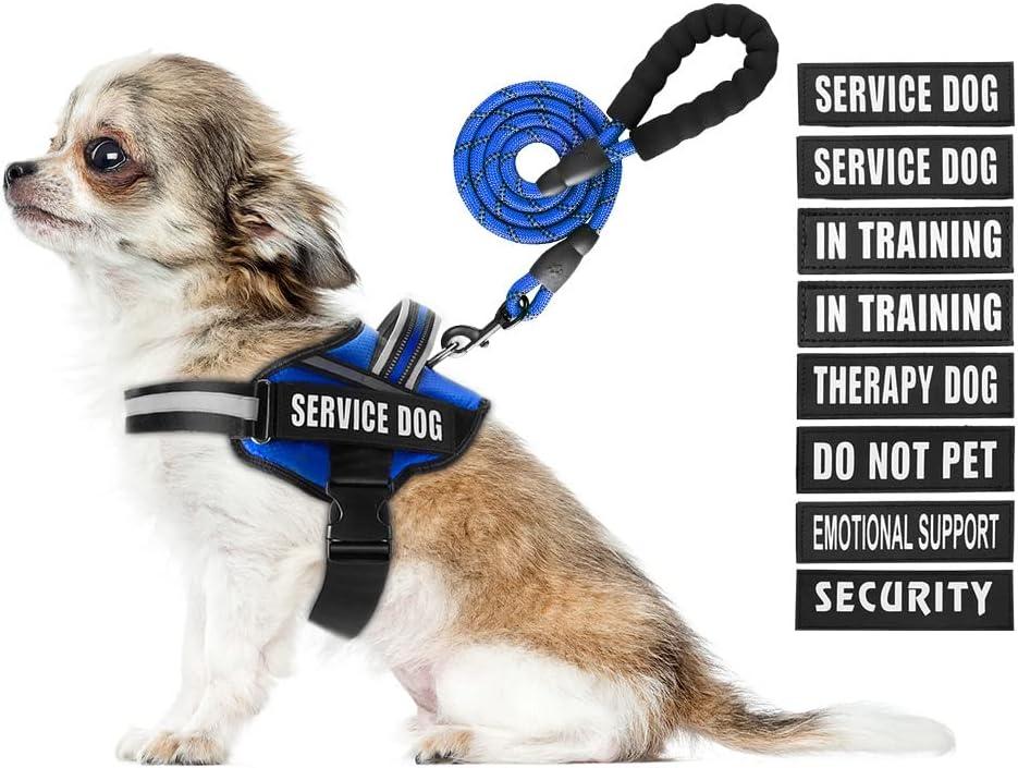 Service Dog Vest Harness and Leash Set, Animire in Training Dog Harness with 10 Dog Patches, Reflective Dog Leash with Soft Padded Handle for  Dogs (Blue, XS)