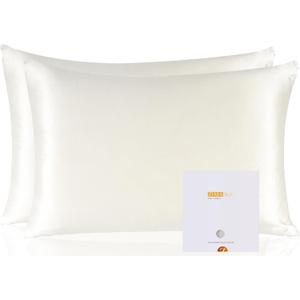 ZIMASILK 100% Pure Mulberry Silk Pillowcase 2 Pack, Soft and Smooth,Both Sides Premium Grade 6A Silk,600 Thread Count,with Hidden Zipper (Queen 20''x30'',Ivory)