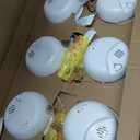 First Alert SMI100-AC, Hardwire Interconnect Smoke Alarm with Battery Backup, 6-Pack