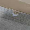 Sauder Cottage Road L Shaped Desk Computer Desk with Drawers, Home Office Desk with Optional File Cabinet Storage, Cable Management, in Raven Oak Finish