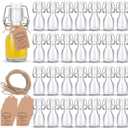 30Pcs Mini Swing Top Bottles with Stoppers 2 oz Mini Flip Top Glass Bottles with Kraft Paper Tags and Jute Twine for Crafts Decoration Valentine's Day Wedding Themed Party Favors