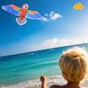 ORGCLDKT- 3D Lifelike Style Bird/Eagle Kite, Super Easy to Fly with, Ideal for Kids, Adults, Girls, Boys. Kites for The Beach, Grassland, Hiking (59")