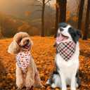 5 x Fall Dog Bandanas Small 3PCS, 6 Pattern Thanksgiving Scarf for Boy and Girl, Pumpkin Leaves Flowers Triangle Reversible Bibs Breed for Puppy Pets