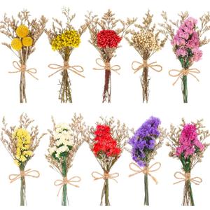 10 Pack Forget Me Not Dried Flowers Bouquets Natural Dry Flower with Stem Mini Dried Embossing Flower Dry Floral Arrangement for Vase, Crafts, Table Centerpieces, DIY, Photo Prop, Wedding, Home Decor