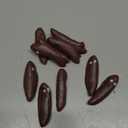 Poop Slingshot 12pcs Fake Poop Toys for Kids Stocking Stuffers, Funny Gag Gifts Bulk Party Favors Game Prizes, Sticky Poo Emotion Fidget Toys for Kids Age 3-5-7 4-8-12 Year Old Boys Girls Teens Adults