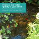 TotalPond UV Pond Clarifier