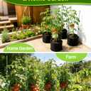4 Pack 35.4" Tall Tomato Cages for Pots and Containers, Adjustable Tomato Plant Support with Sliding Clips, Plastic-Coated Metal Tomato Trellis Cage for Patio, Raised Bed & Garden Vegetables