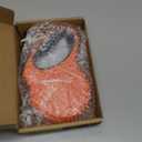 Fida Retractable Dog Leash, 16 ft Dog Walking Leash for Medium Dogs up to 44lbs, Tangle Free, Orange