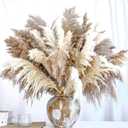 20 PCS Dried Flower, 30-inch Tall Nature Pampas Grass Bouquet Decor - Boho Flowers and Feathers for Centerpieces, Perfect for Tall Floor Vase Fillers, Living Room, and Wedding Decor(White, Natural)
