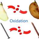 PackFreshUSA Top Tier Cake Preservation System