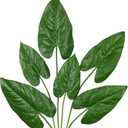Hollyone 6 Pack Artificial Anthurium Leaves with Stems Real Touch Faux Anthurium Safari Leaf Fake Palm Tropical Plants for Vase Hawaiian Luau Party Jungle Beach Table Home Wedding Kitchen Decor