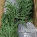 Norfolk Pine Christmas Tree Real Touch Faux Holiday Tree with Pot, Realistic Indoor Outdoor Decoration for Entryway, Living Room, Office, Apartment (3FT-2Pack)