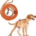 12ft No Pull No Choke Leash Long Rope Dog Leash, Anti Pulling, Dog Leads for Walking, Double Hook & Escape Proof for All Breeds, Reflective Orange