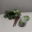 20 Pcs artificial eucalyptus stems fake eucalyptus faux greenery Leaves 23.6 Inches Silver Dollar Eucalyptus Fake Plant Decor Silk Eucalyptus Branches Artificial Greenery Plant for Wedding Decoration