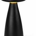 ASTRATERRA Florastone Bloom Table Lamp, 2-in-1 Flower Vase, Black | USB-C Rechargeable, Soft Ambient Night Light, For Bedroom, Nightstand & Office, Touch Sensor