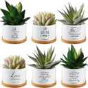Sieral 6 Pcs Bible Verse Succulent Pots White Ceramic Flower Planter with Bamboo Tray Small Pots Christian Gift Succulent Planters for Patio Garden 3 x 3 x 2 Inch, Plants Not Included(Bible Style)