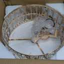 Siljoy 20 Gold Crystal Ceiling Fan with Light, Modern Caged Ceiling Fan with Lights and Remote, 6 Speeds Reversible Dimmable Quiet DC Motor Fandelier for Girls Bedroom Living Room, 6 x E12 (19.7 Inch, Flush Mount)