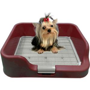 PS KOREA] Indoor Dog Potty Tray - with Protection Wall Every Side for No Leak, Spill, Accident - Keep Paws Dry and Floors Clean (Wine) 22.6 W x 17.77 L x 6.1 H inches