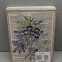 8 Pack Art Acoustic Panels, 48"x32" Soundproof Wall Panels, Decorative Sound Absorbing Panels with Self Adhesive, Sound Dampening Panels, Acoustic Treatment for Home, Office, Studio(Flower) (Plant Illustration Collection)