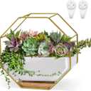 Succulent Planters 73.5 Inch Decorative Ceramic Flower Plant Pots with Metal Holder Hanging and Place Dual-Purpose Garden Planter Pot with Drainage and Saucer for Indoor Home Office Desktop