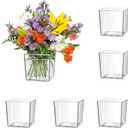 6 PCS Clear Nursery Pot, Plastic Cubes Flower Pot Decorative Vase Potted Square Container for House Plants, Cactus, Flowers, Orchid, 3.15 Inch