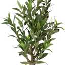 Fake Olive Tree with Pot Indoor, 30" Artificial Olive Tree Stems Potted Greenery Tabletop Faux Green Plants in Pot for Office Bedroom Bathroom Kitchen Living Room Home Decor