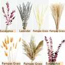 Fall Dried Flower Bouquet with Pampas Grass, Orange Bunny Tails, Lavender & Red Eucalyptus Boho Fall Decor for Home, Vase, Porch & thanksgiving Autumn Floral Arrangements for Fall Decorations Indoor