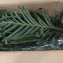 Artificial Palm Tree Indoor Dcor Lifelike Faux Palm Plant in Pot, Adjustable Leaves, Realistic Tropical Floor Plant for Living Room, Office & Home 3FT
