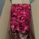 6PCS Silk Bougainvillea Artificial Flowers, UV Resistant, 36 Branches, Long Stems Faux Flower, Realistic Fake Bougainvillea Vines, for Wedding Porch Home Party Garden DIY Decor - 38 inch (Fuchsia)