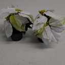 Mini Poinsettias Artificial Plants 2 Pack 9" Faux Small Christmas Flowers in Pot for Home Office Tabletop Indoor Christmas Decorations White