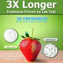 2 x Fridge Deodorizer 1PackMore Effective Than Baking SodaRechargeable Refrigerator Deodorizer Made of zeolite 8-12 Months Long-Lasting Freshness for Fridge